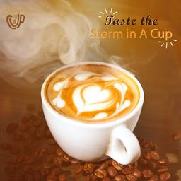 Storm in a Cup (Dhanmondi)